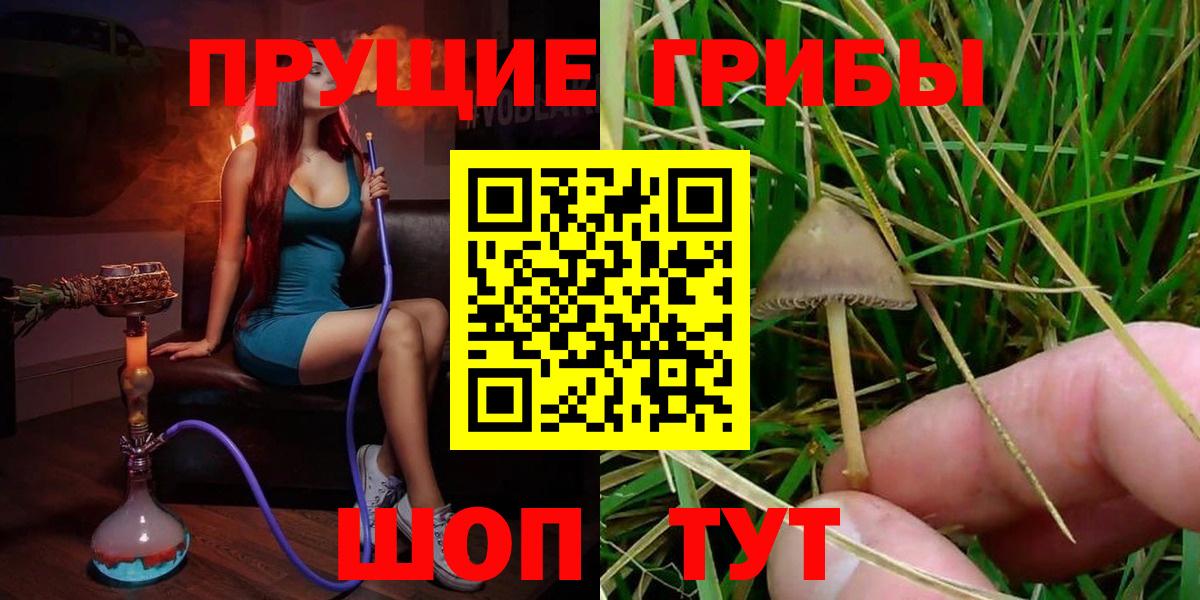 купить наркотики цена  Псилоцибиновые грибы MAGIC MUSHROOMS  Вход с VPN  Галлюциногенные грибы прущие грибы  Златоуст 